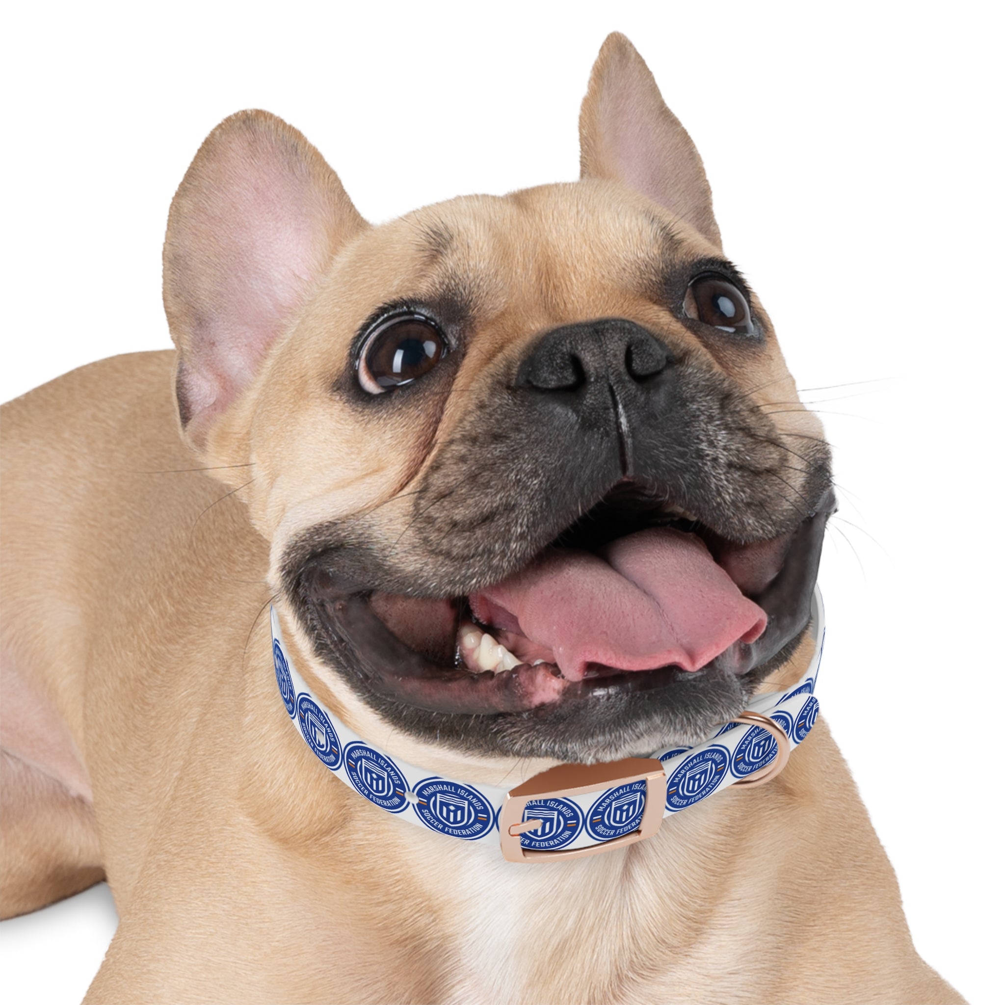Marshall Islands Soccer Federation Dog Collar — Blue Emblem Pet Collar