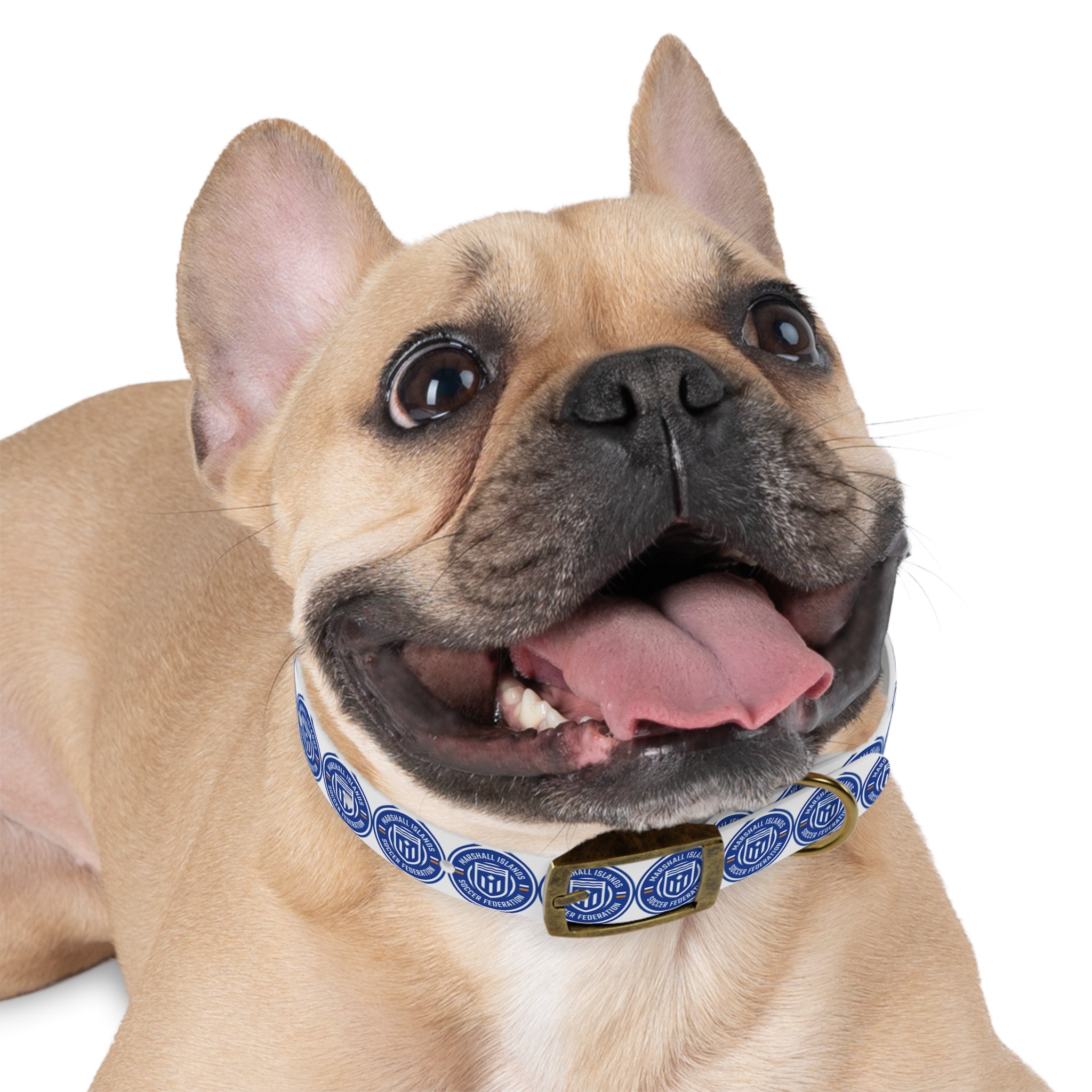 Marshall Islands Soccer Federation Dog Collar — Blue Emblem Pet Collar